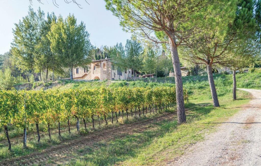 Agriturismo Wine Casale Villa Chiara Торджано Екстериор снимка